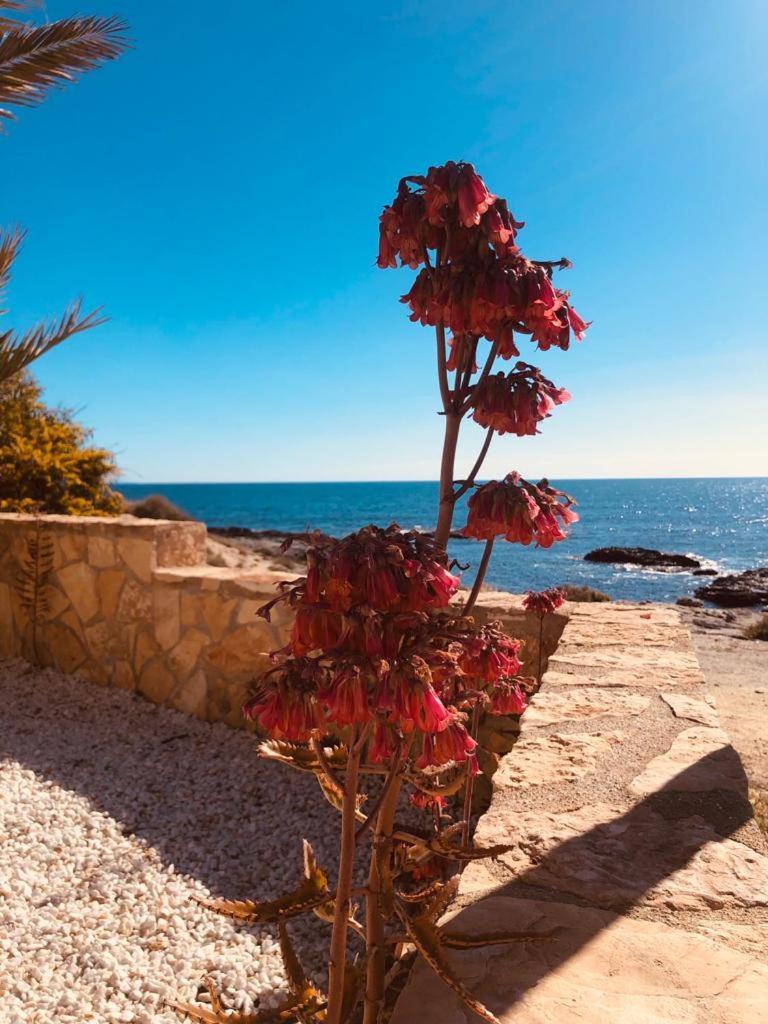 Villa Mangata كهوف المنصورة المظهر الخارجي الصورة