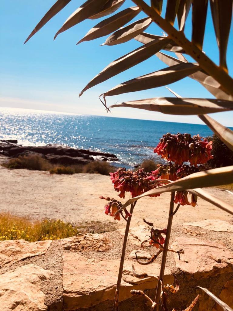 Villa Mangata كهوف المنصورة المظهر الخارجي الصورة